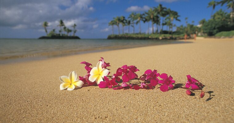aria quand je partirai texte enterrement hawaien