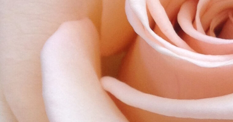 aria la tombe et la rose victor hugo texte enterrement